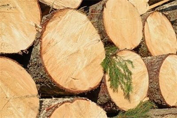 Ускоряването на придобиването на гори в Бразилия оказва натиск върху цените на дървесината